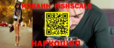 крисы Гатчина