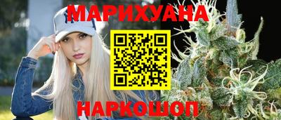 крисы Гатчина