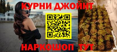 дмт Гагарин