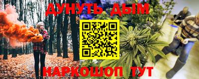 крисы Гатчина