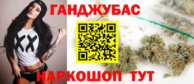 крисы Гатчина