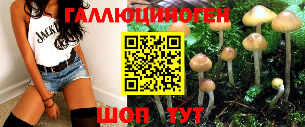 Псилоцибиновые грибы ЛСД  Вход с VPN  Заречный  Псилоцибиновые грибы Magic Shrooms 